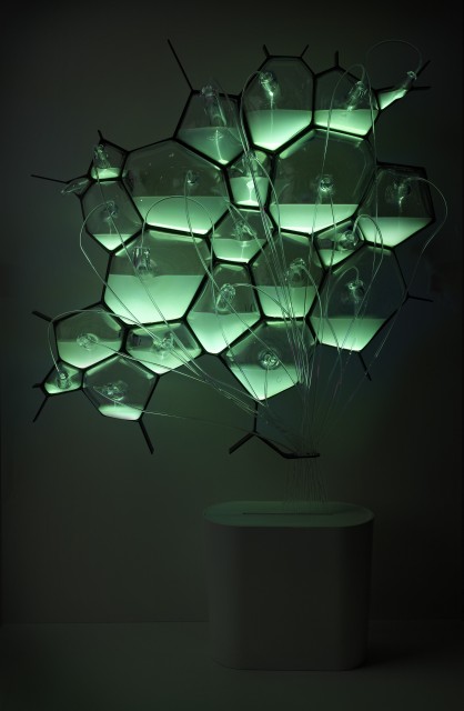 bio_light_hr3.jpg
