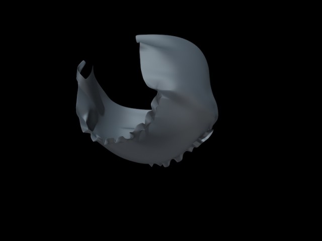 raccoglicacca2.jpg