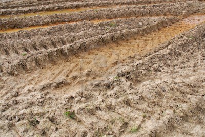 2796929-battistrada-dei-pneumatici-nel-fango.jpg