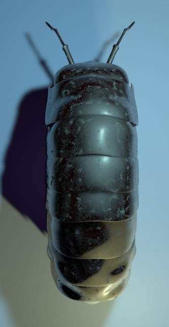 modello_0009.jpg