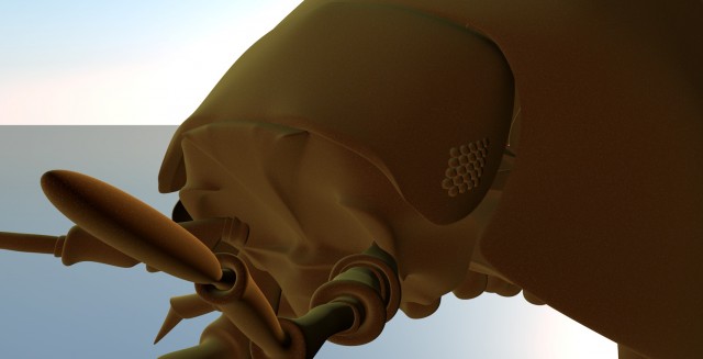 ventre mod_0006d_face.jpg