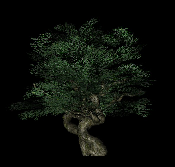 Immagine 1.png