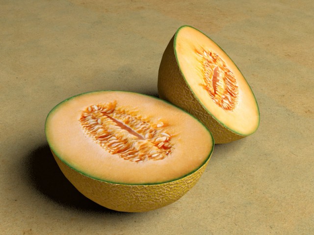 Melone.jpg