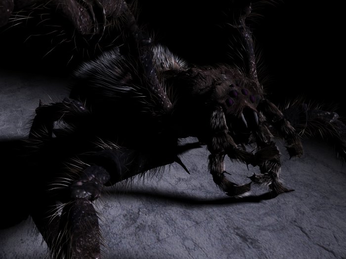 ARANEA_05f_ani01_0037.jpg