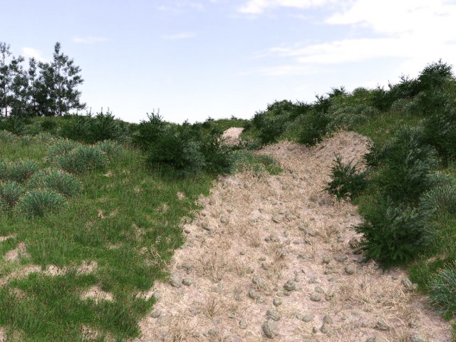 bassa