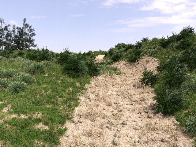 043-2.jpg
