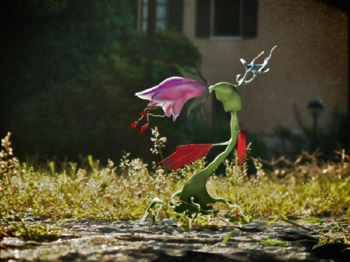 test inserimento 1 T.jpg