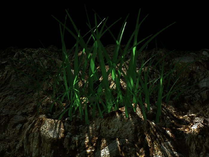 test erba 1.jpg