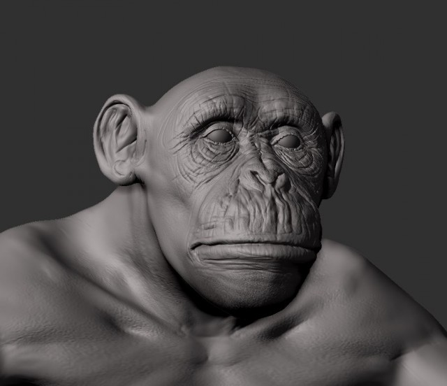 face.JPG