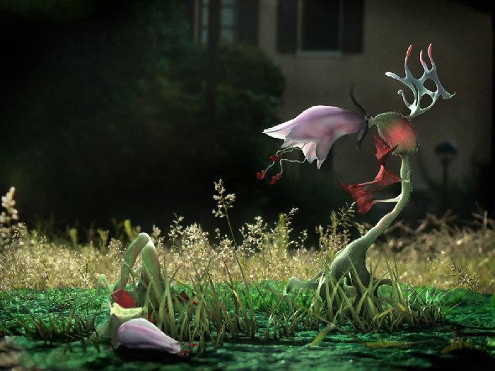 vita da fiore T.jpg