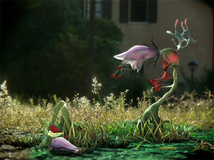 vita da fiore T C.jpg