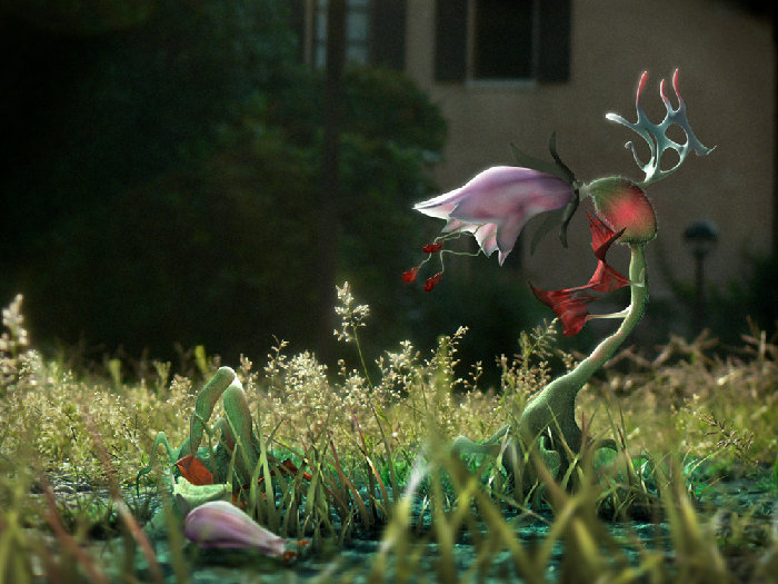 vita da fiore T C 2.jpg