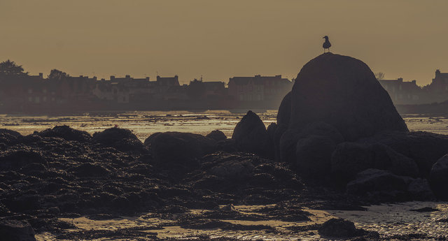 Harvesting textures on the sea shores of Britain...