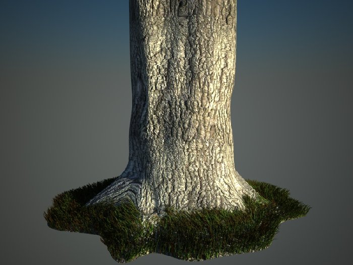 troncoalbero2.jpg