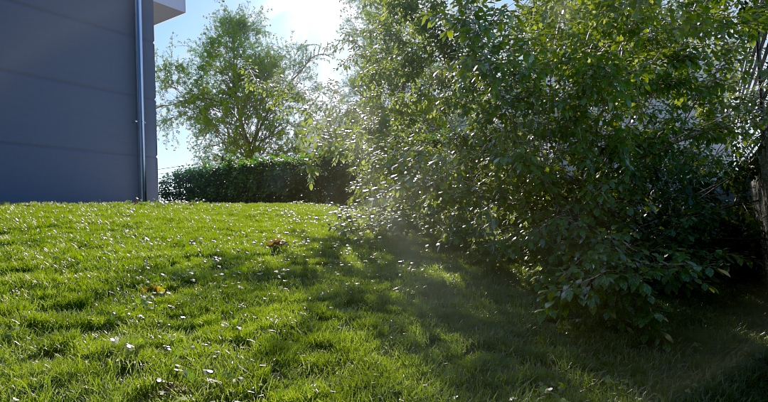 grass instagram.jpg
