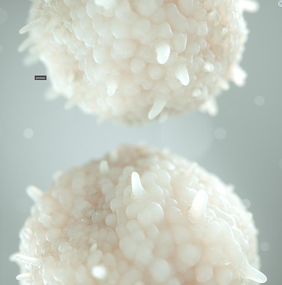 Cell-reference.jpg