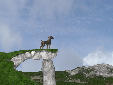 paesaggio01cane.jpg