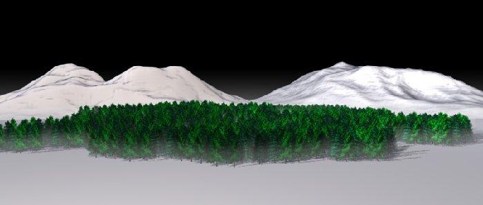 test bosco 1.jpg