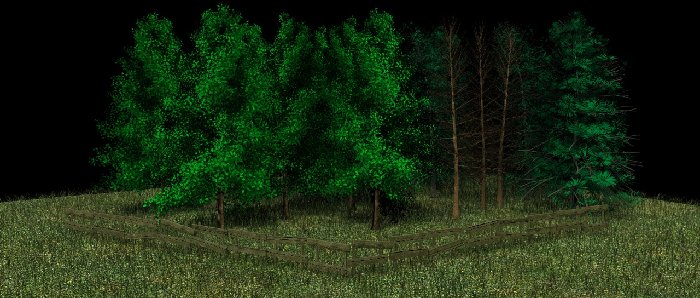test bosco 2.jpg