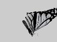 render1.jpg