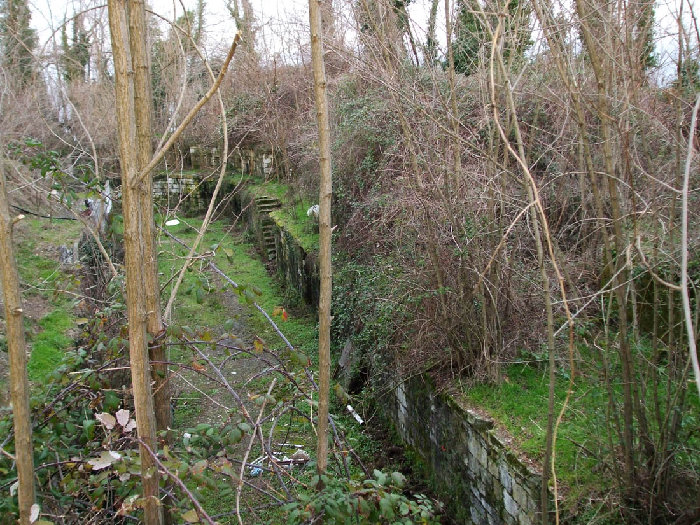 Immagine2 013.jpg