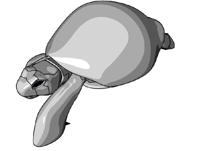 Renderizata Con Sketch &amp; Toon E Ho Catturato L'Immagine Durante Un Movimento... Come Vedete Ci Sono Problemi Di Linee Di Sketch &amp; Toon... Avrei Trovato Anche Il Modo Di Coreggerle Ma Vorrei Un Consiglio