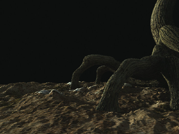 radice albero 2.jpg