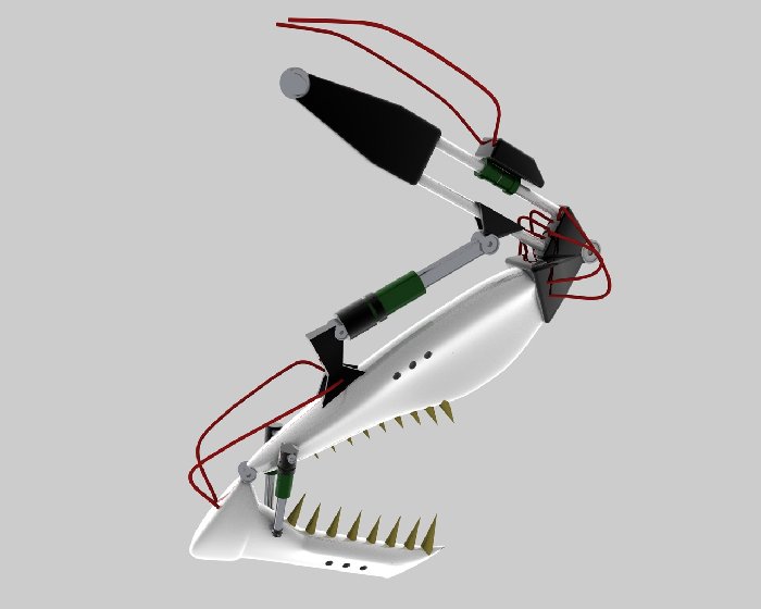 Mantis-arm-color_test1.jpg