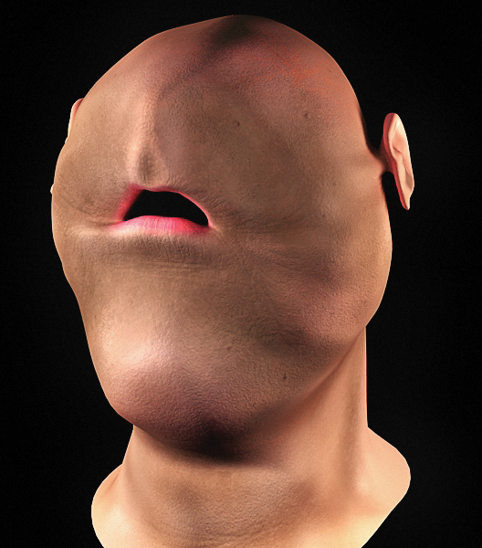 Testa Garza 3.jpg