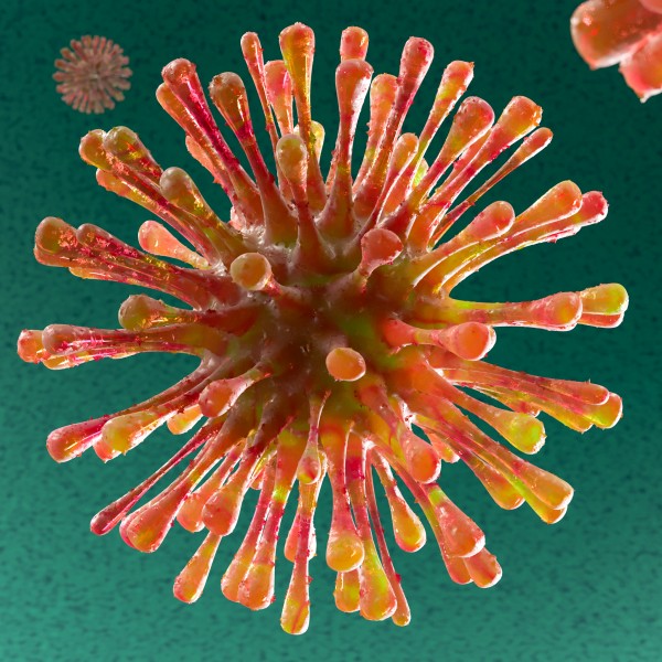 Corona Virus Abimis studio