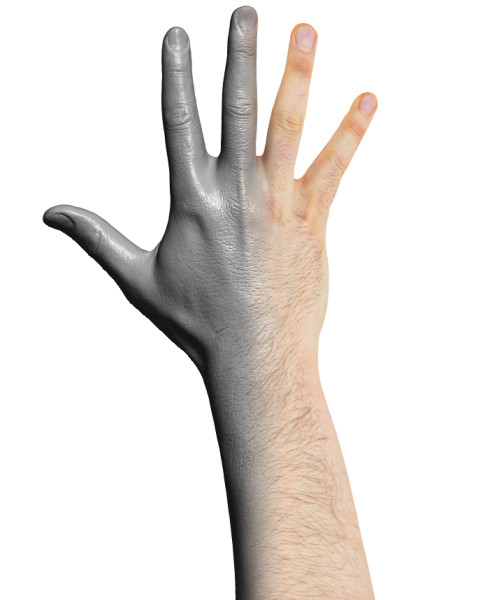 Hand Scan 3D Model