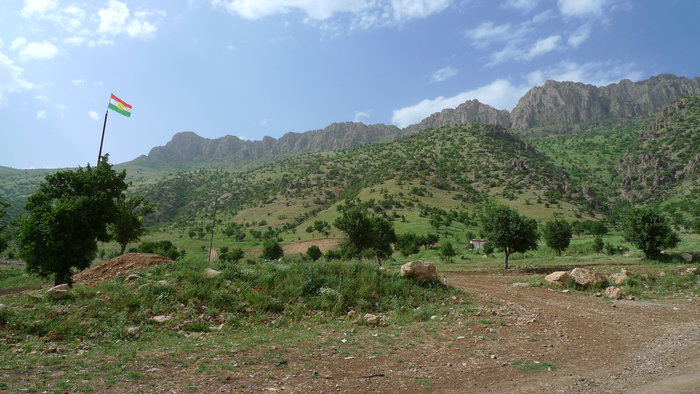 bollettino-20.jpg (4.29 MiB) Visto 575 volte bollettino-20.jpg