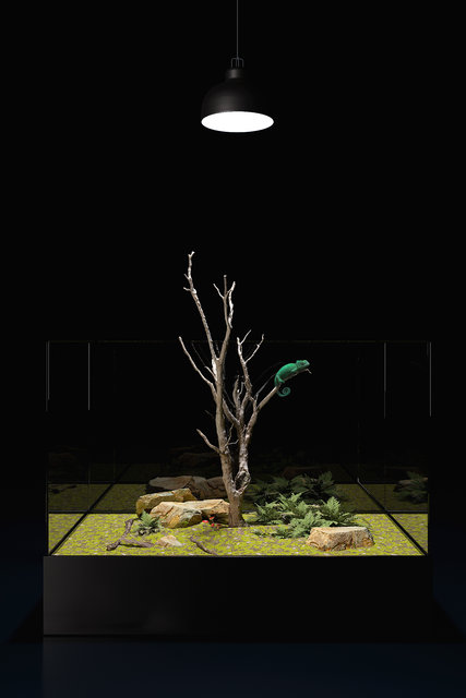 17739116_orig.jpg (991.58 KiB) Visto 2410 volte 17739116_orig.jpg